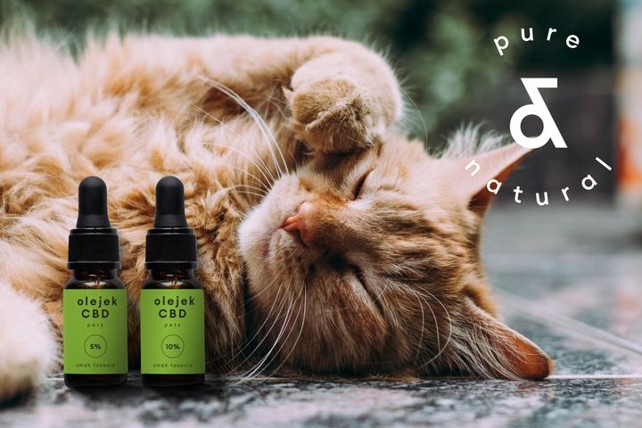 Olejek Cbd 10% Ciemny Full Spectrum Dla Zwierząt 30 Ml