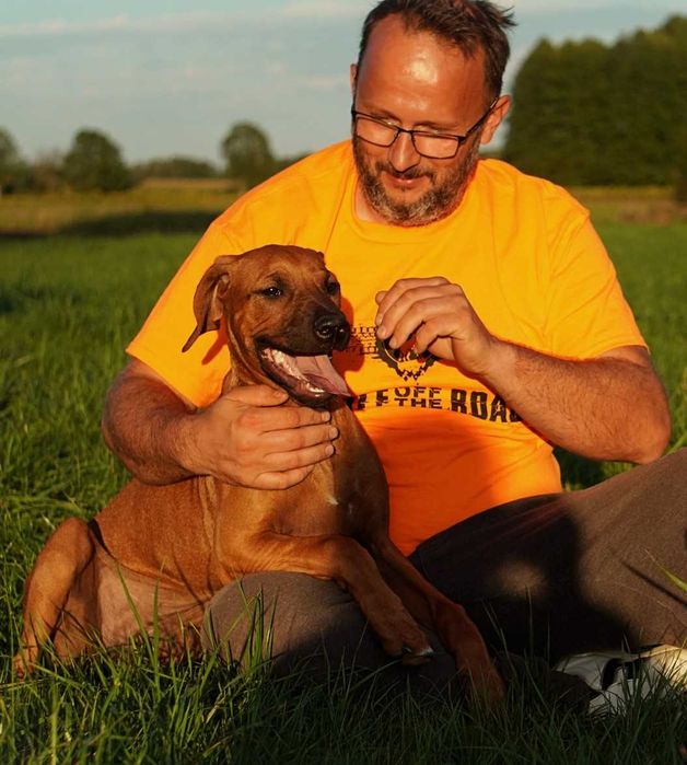 Suczka Rhodesian Ridgeback, szczenię KIBANDA
