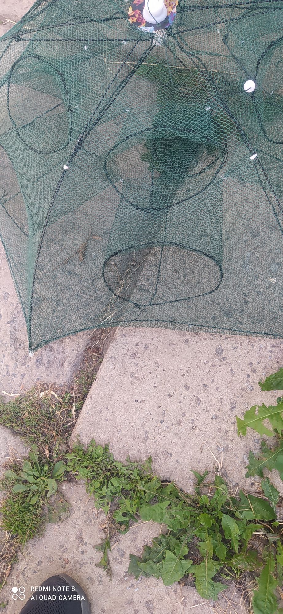 Раколовка зонт 12 входов