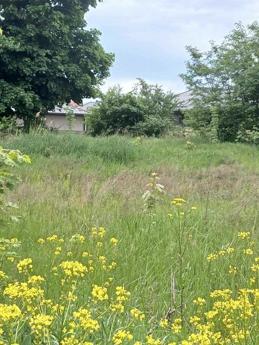 Земельна ділянка 10 соток у селі Шевченкове (Білогородка)