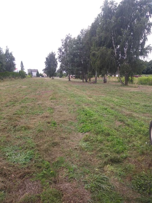 Kompleksowe czyszczenie terenu działek przygotowanie pod budowę