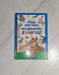 Moja pierwsza encyklopedia zwierząt, Maria Kotecka