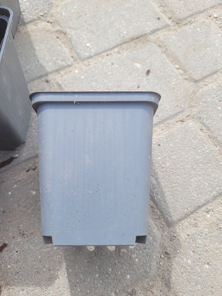 Jednorazowa doniczka po sadzonce