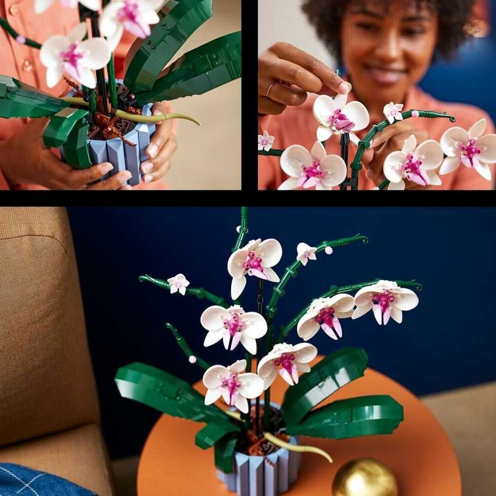 LEGO Botanicals 10311 Orchidea do Samodzielnego Złożenia dla dorosłych