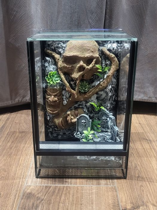 Terrarium dla pajaka