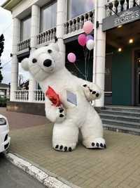 Заказ Белого медведя, шоу ,мишка на праздник поздравление аниматоры,ю