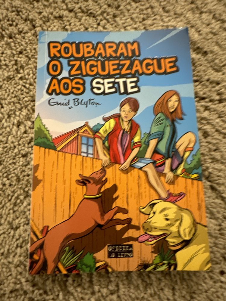 Livro Roubaram o Ziguezague aos Sete