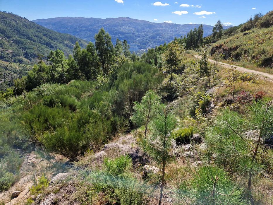 Terreno / Gerês / Rio Caldo