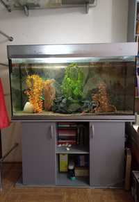 Продам видовой аквариум 280 л.