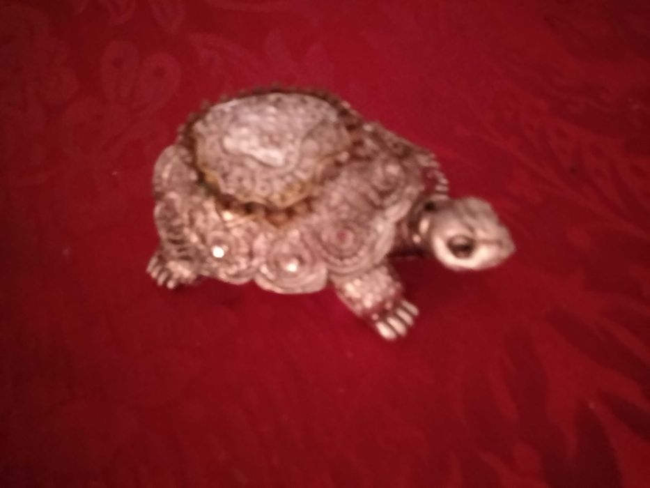 Devagar se vai ao longe!Tartaruga Decorativa12E-Aquario Tarta7EDesde1E