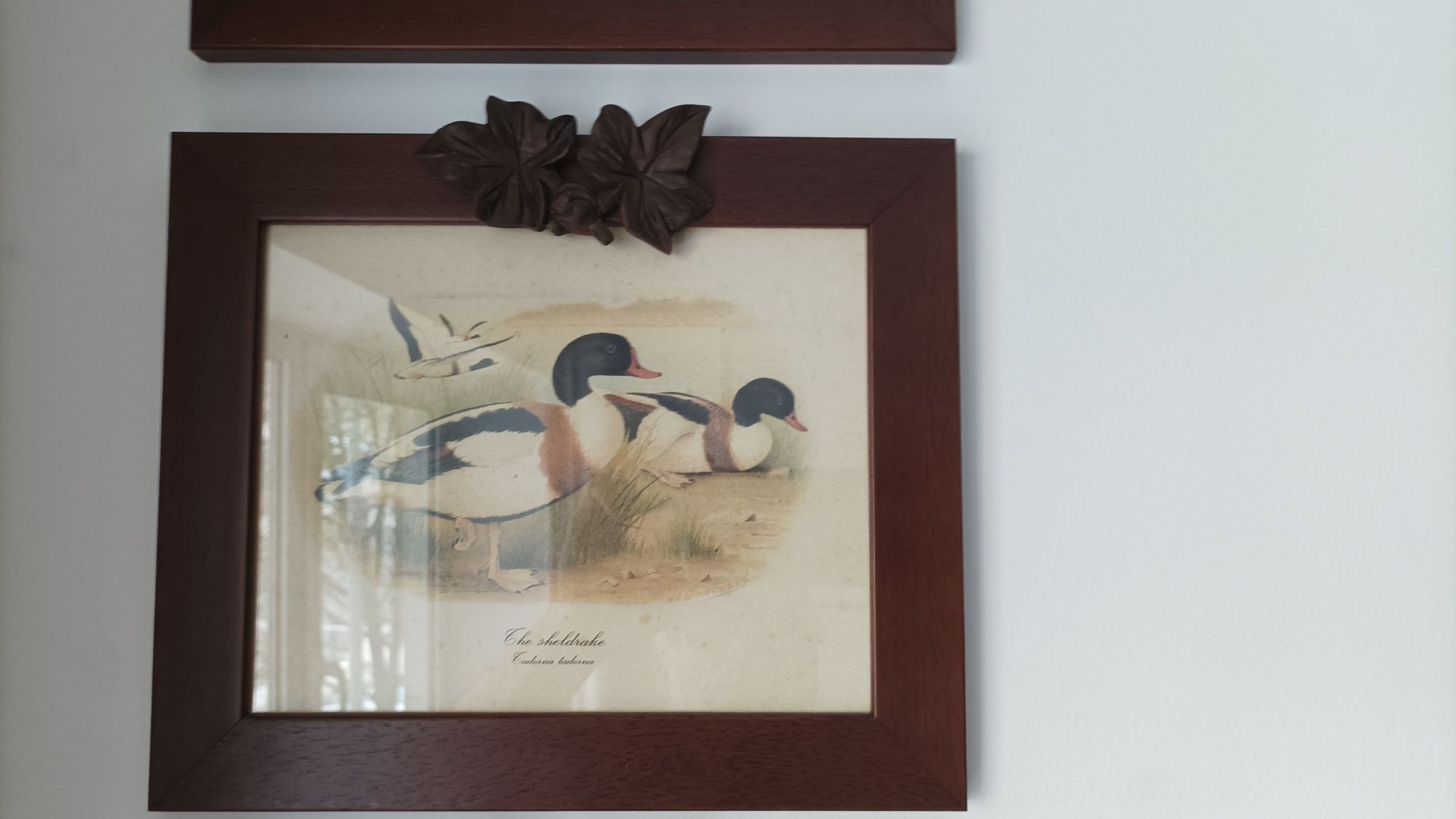 Conjunto 4 quadros patos
