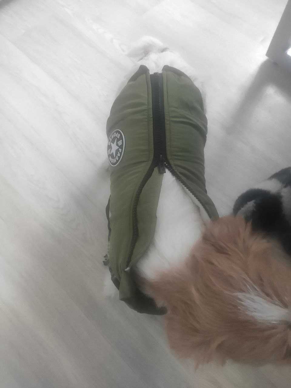Куртка для собак зі шлейкою
