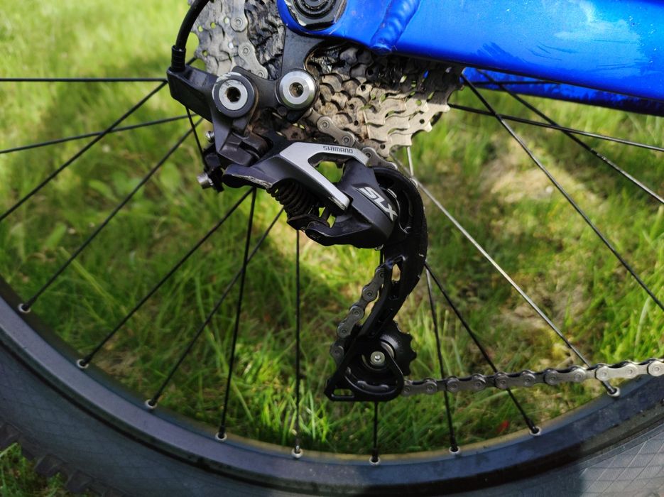 Dartmoor Hornet 2022