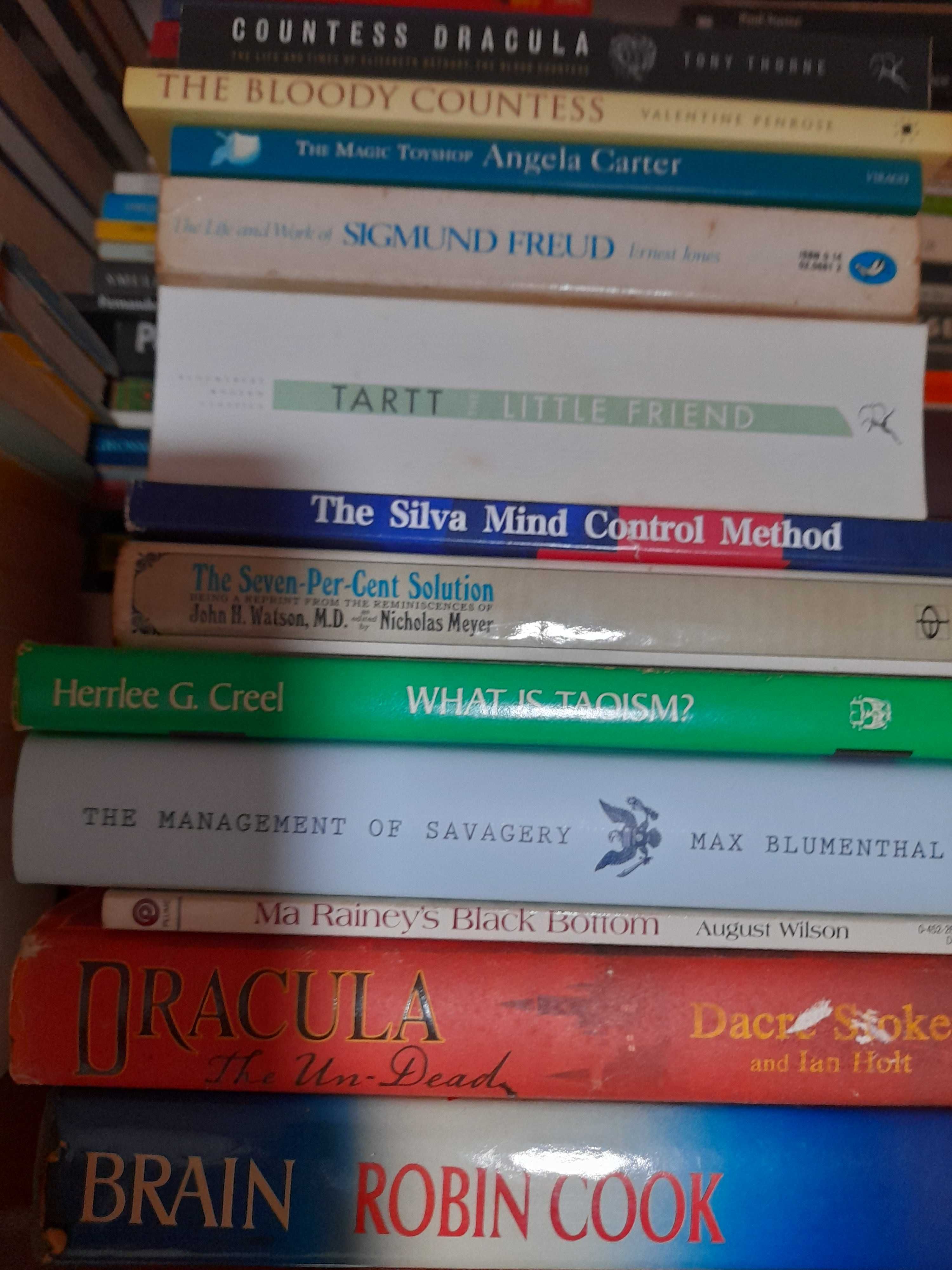 Lote 25 livros inglês literatura