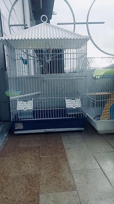 Viveiro+acessórios e comida