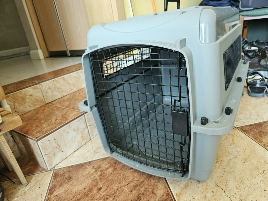 Transporter dla psa