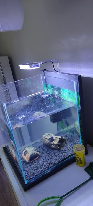 Akwarium 30 l lampka filtr