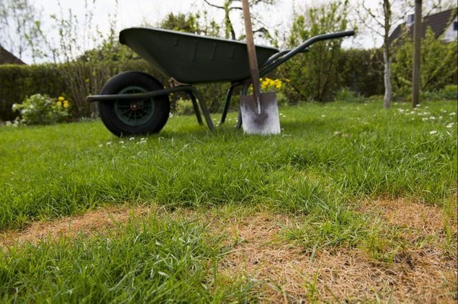 Ogrodnik ,sprzątanie i przygotowywanie ogrodów do zimy