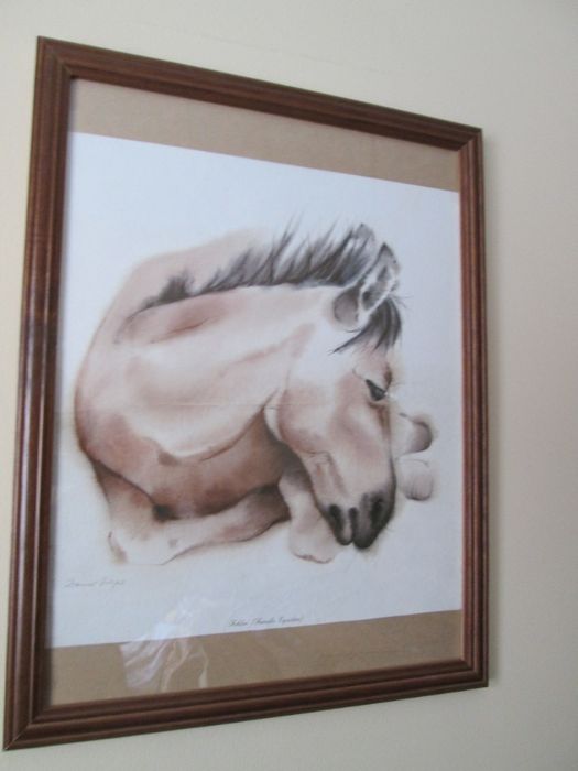 4 quadros de animais e 4 variados
