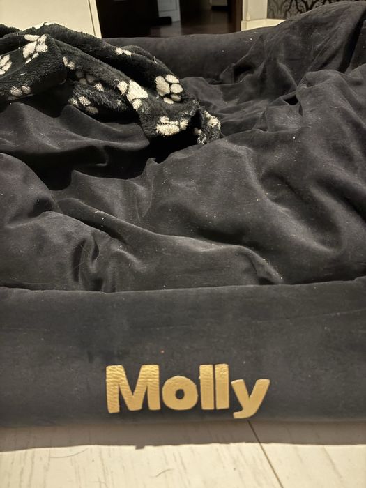 CANLUSSO legowisko dla psa