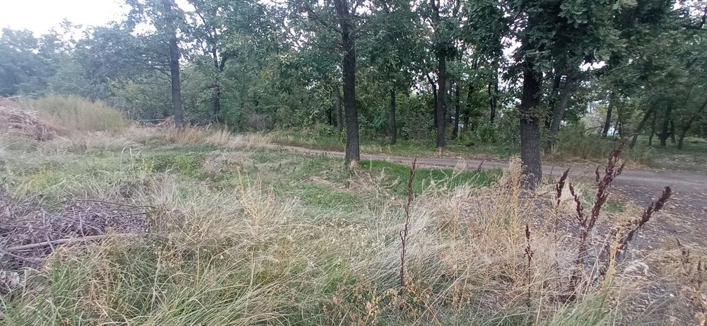 Земельна ділянка в с. Червона Слобода