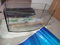 Akwarium 112l panorama z filtrem Aquael 250