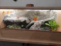 Terrarium 60/40/40 + Gekon Lamparci Mac super snow