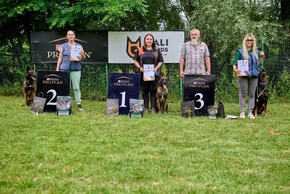 Дресирування собак, кінолог