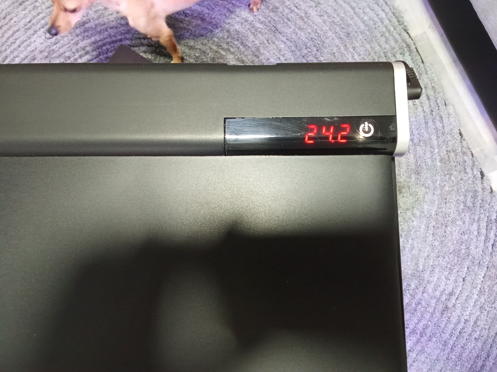 Aquário 50 litros troco por filtro externo