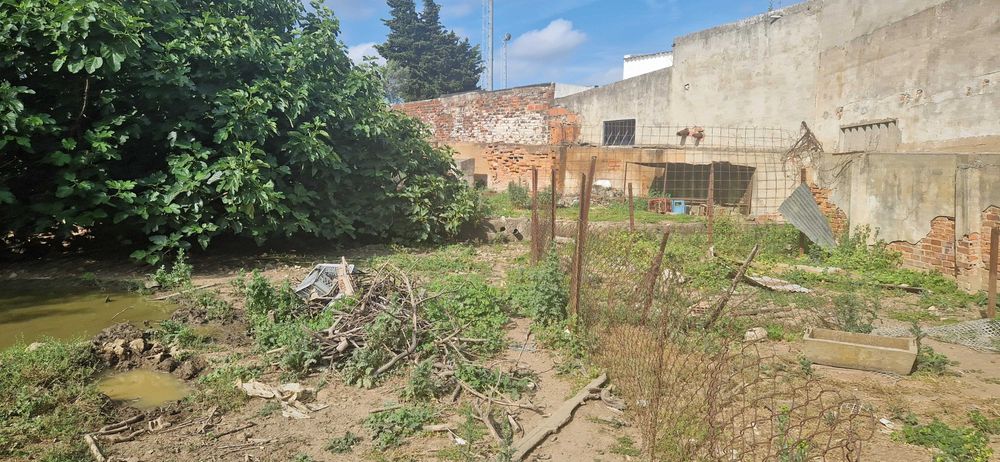 oportunidade para investidores