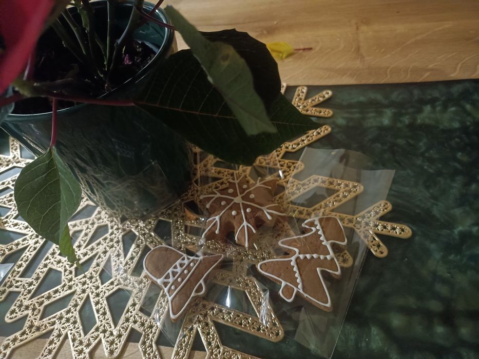 Zestaw 50 pierników