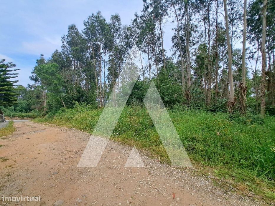 Terreno para venda para construção de moradias na zona de Argoncilhe