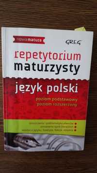 Repetytorium język polski