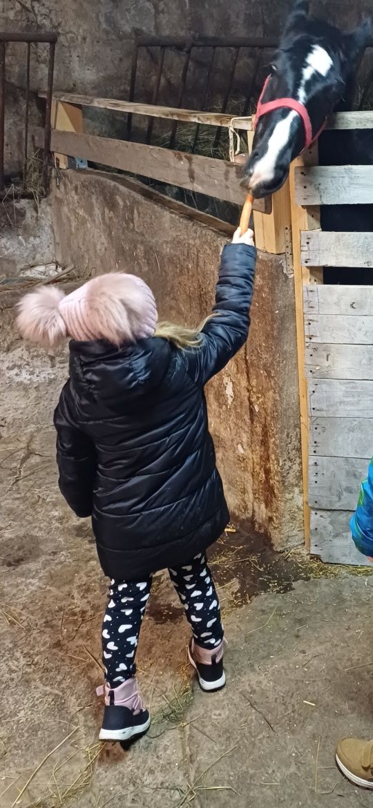 Kurtka zimowa dziewczęca 128 Minoti