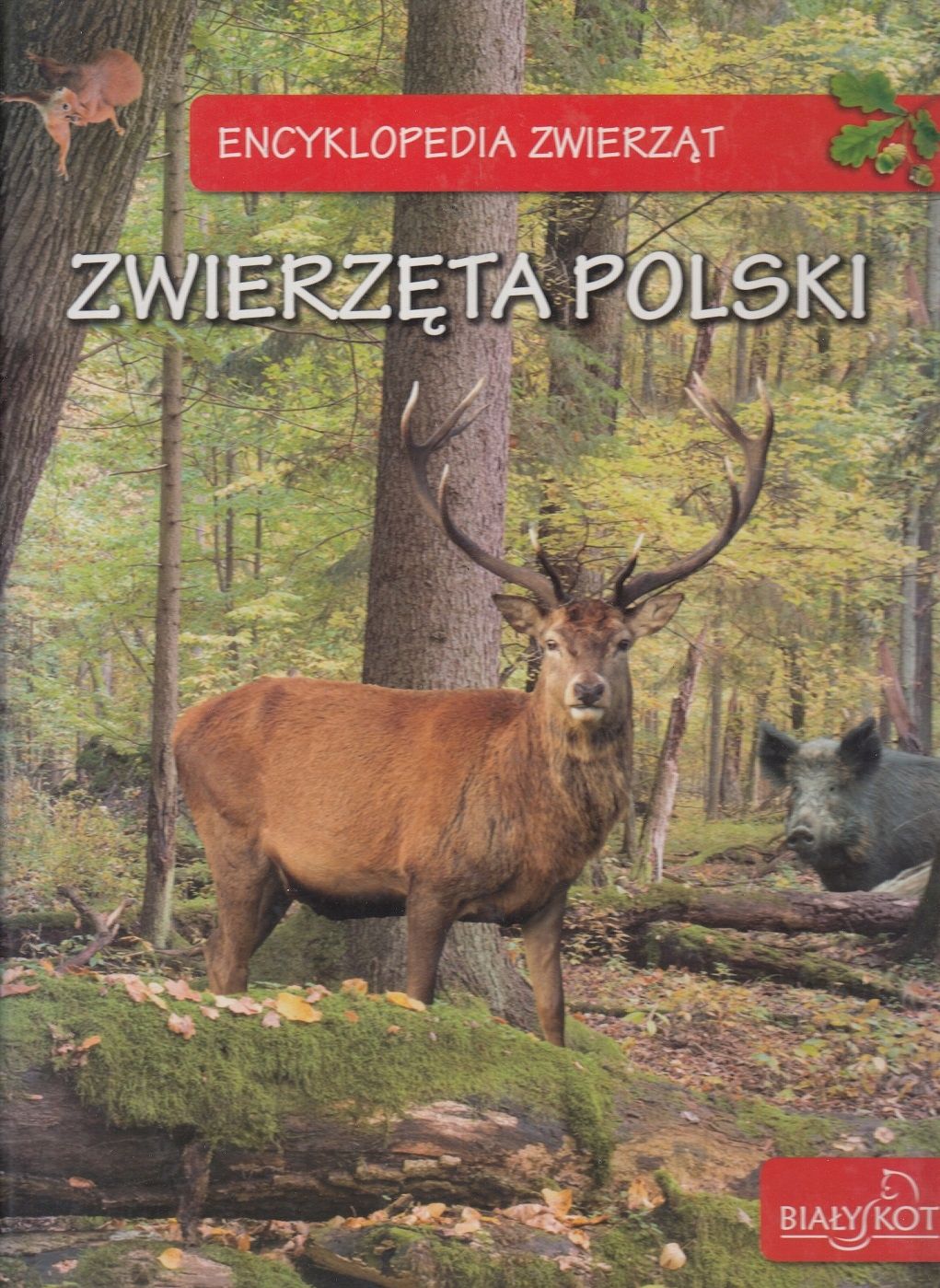 Encyklopedia Zwierząt Zwierzęta Polski Elżbieta Zarych