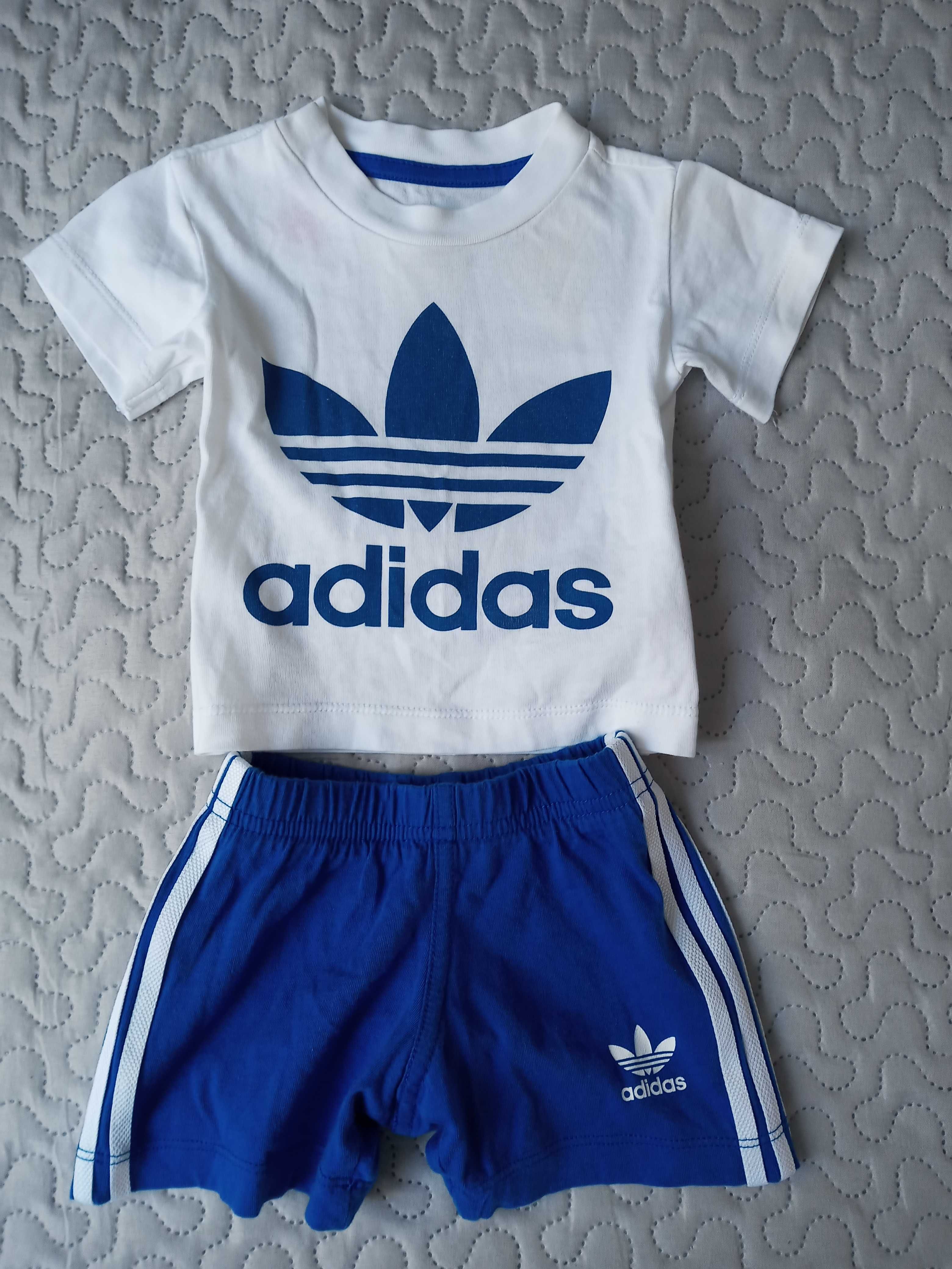 Zestaw komplet Adidas r.68 t-shirt i szorty sportowe
