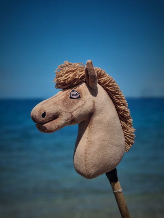 Hobby horse a4/a5