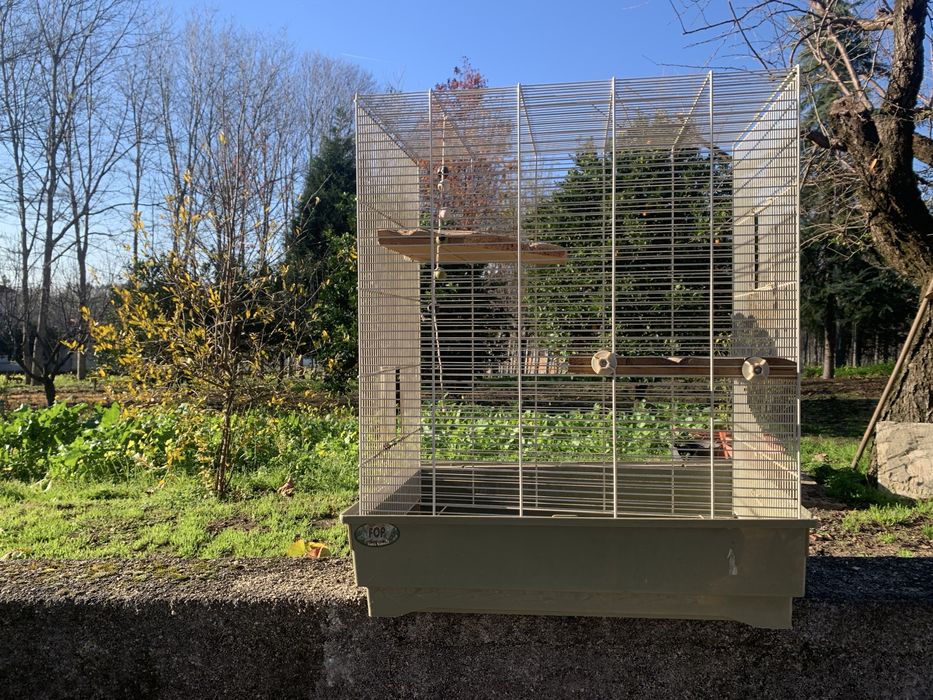 Jaula para chinchila