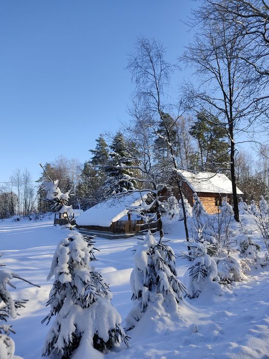 Domek z basenem jacuzzi i sauną