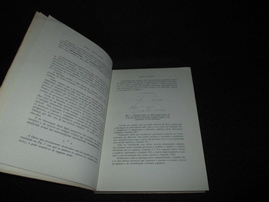 Livro Genética Molecular Luís J. Archer Brotéria