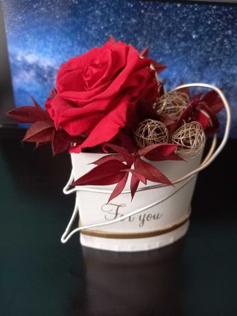 Wieczna róża, czerwona z ozdobami w pudełeczku w kształcie serca