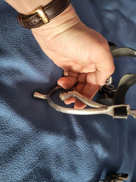 Ostrogi rożne tanio