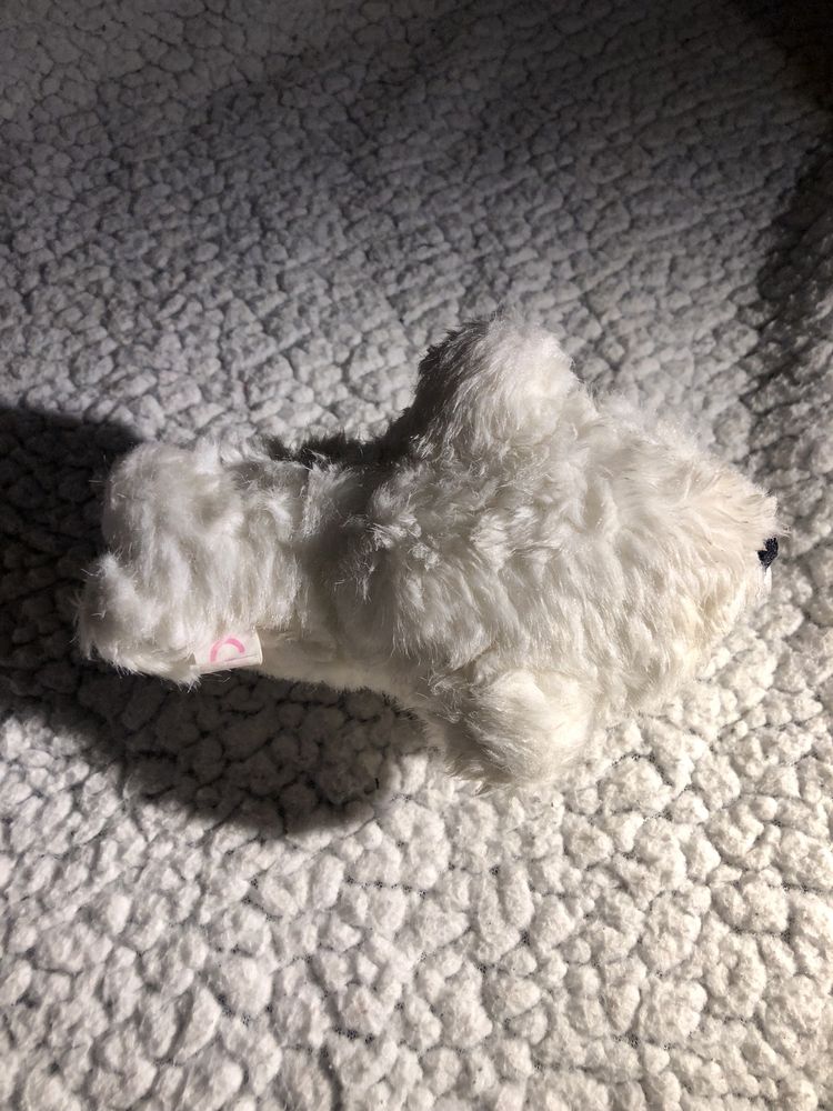 Foca branca peluche