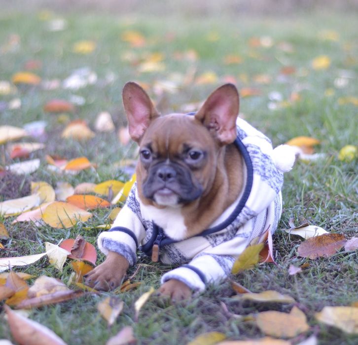 Яскраво червоний хлопчик