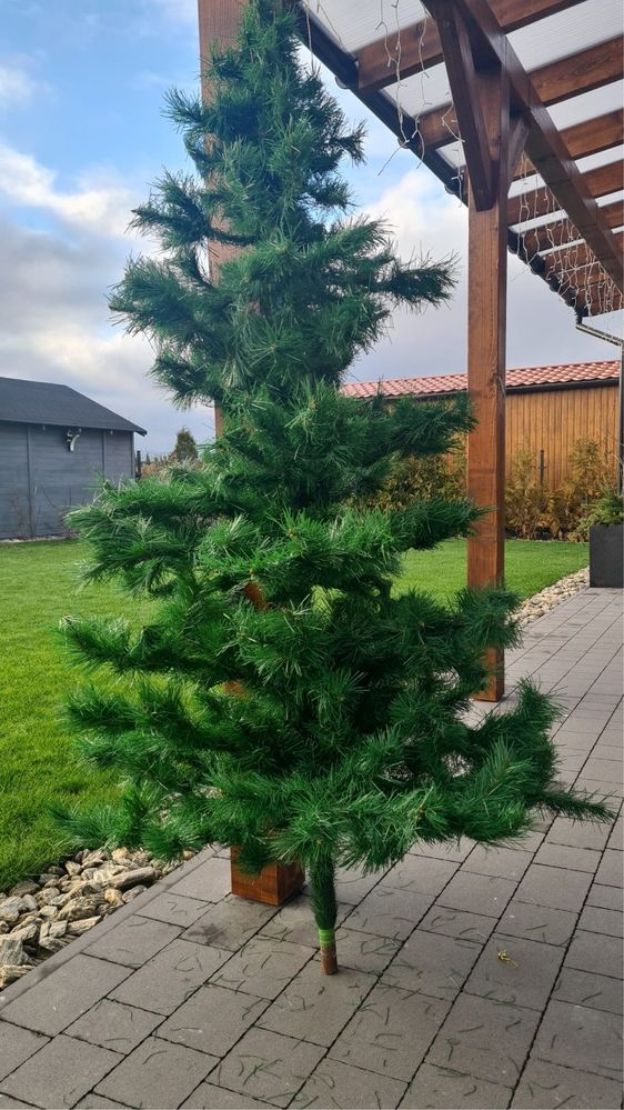 Sztuczna choinka 190cm