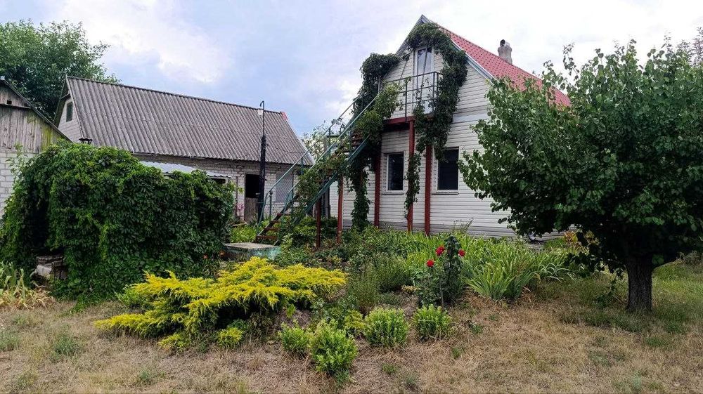 Продам дом в Подгородном с отличным участком