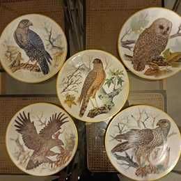Pratos de porcelana  _ Coleções Philae