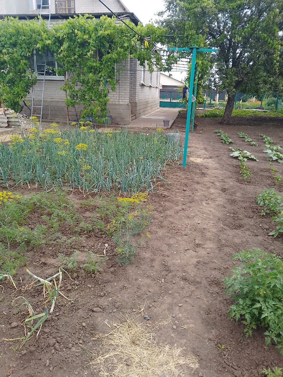 Продам дом на восточной стороне