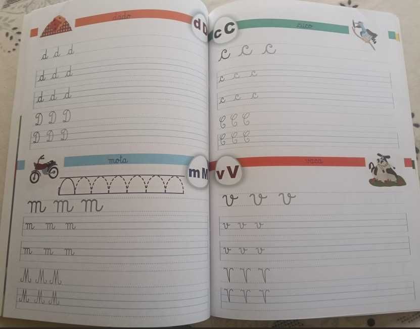 Coleção as Letrinhas da Carochinha - 4 manuais- 1º ano