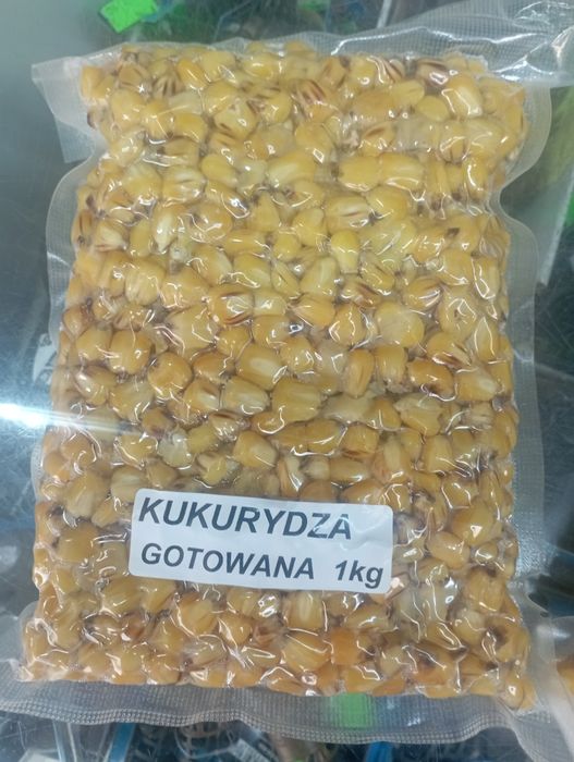 wędkarska kukurydza 1 kg świeżo gotowana